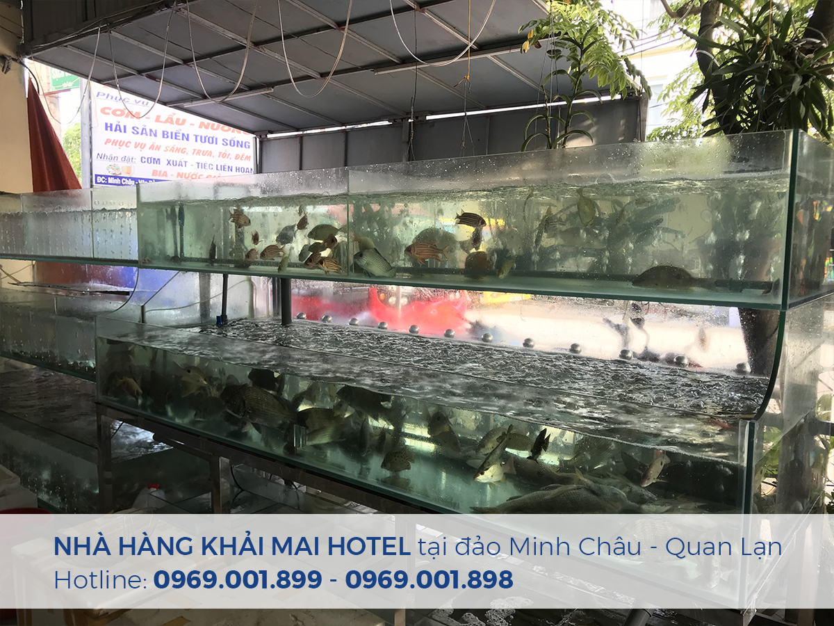 nha hang khai mai hotel 9