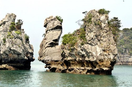 Hòn Thiên Nga Vịnh Hạ Long