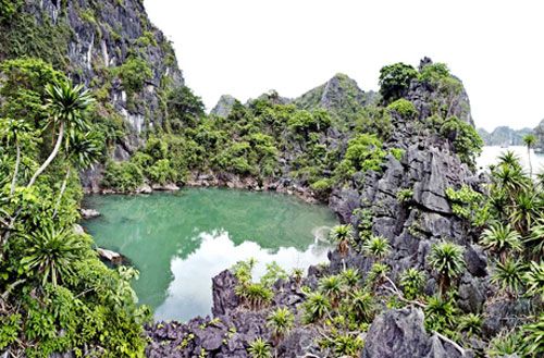 Đảo Ba Mùn