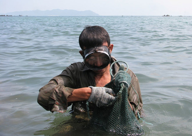 Lặn ốc biển