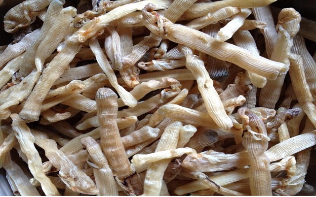 Sá Sùng khô