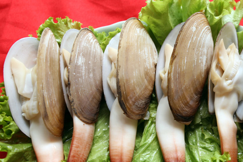 tu hai bien minh chau