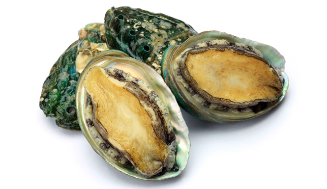 Bào Ngư biển