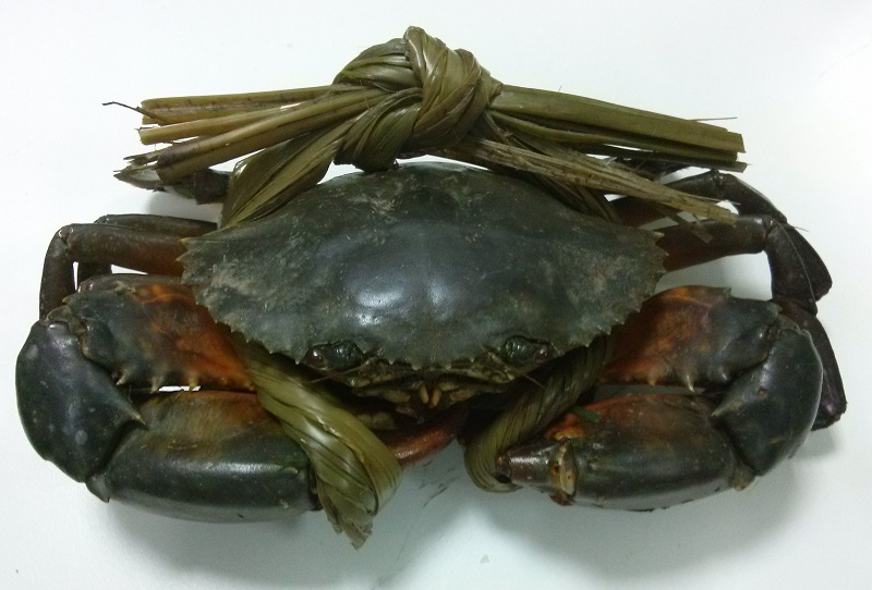 Cua biển Minh Châu Quan Lạn