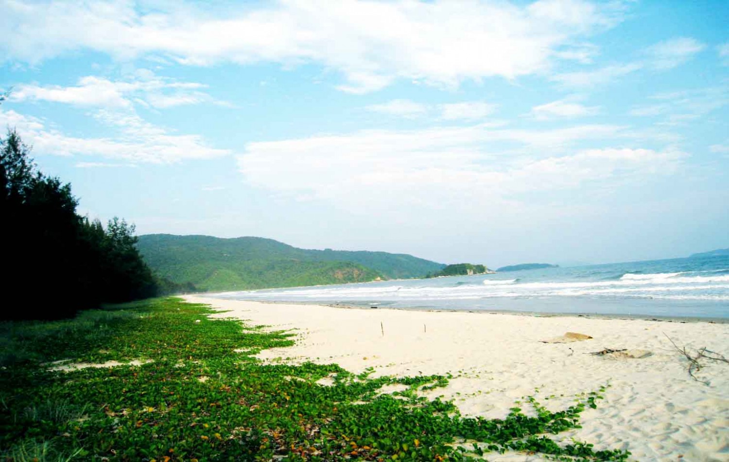 daoquanlanquangninh1